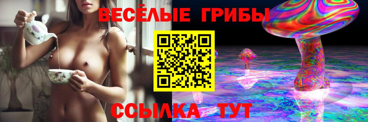 Белая Калитва  Псилоцибиновые грибы прущие грибы  Вход с VPN  Галлюциногенные грибы Magic Shrooms 